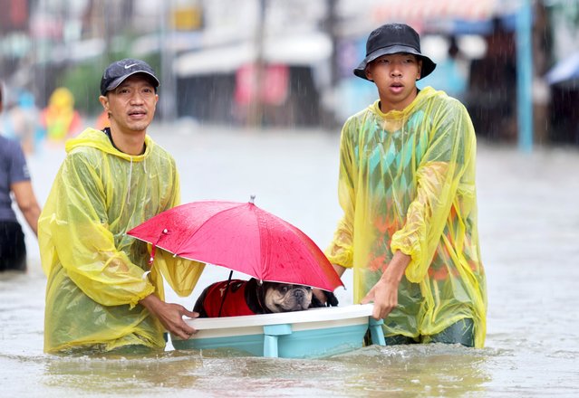 Thai residents carrying a basin with a dog inside wade through water at a flooded street during a downpour in central Yala, southern province, Thailand, 28 November 2024. Seven provinces in southern Thailand are facing severe flooding after heavy rains caused by a strong northeast monsoon, affecting thousands of people and forcing the closure of schools and roads, according to the Department of Disaster Prevention and Mitigation. (Photo by Nakharin Chinnawornkomol/EPA/EFE)