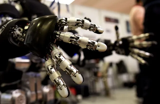 Hands of the iCub robot made by the Italian Institute of Technology are pictured at the scientists congress IROS 2015 in Hamburg, Germany October 2, 2015. (Photo by Fabian Bimmer/Reuters)