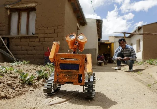 A replica of the Wall-E character is remotely controlled with a mobile phone by Bolivian student Esteban Quispe, 17, in Patacamaya, south of La Paz, December 10, 2015. (Photo by David Mercado/Reuters)