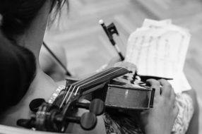 musician with violin in hand above notenblatt