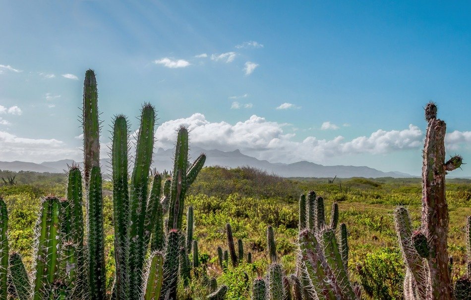 Venezuela landscape