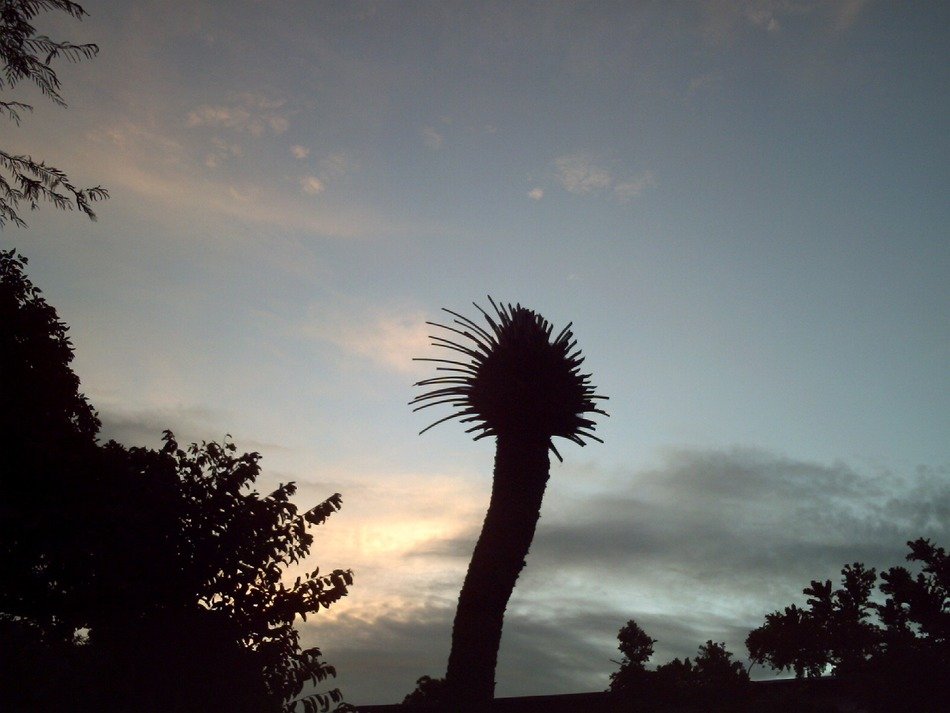 venezuela sky