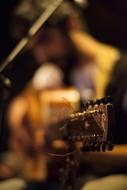 guitar fretboard on muddy background