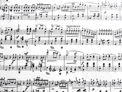 musical score on white