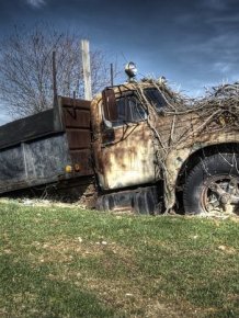 Abandoned cars