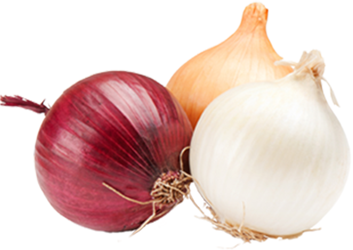 Varietyof Onions PNG Image