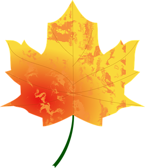 Vibrant Autumn Leaf PNG Image