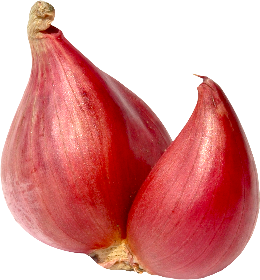 Red Onion Closeup PNG Image