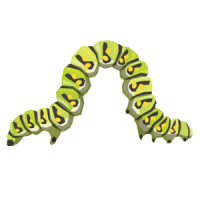 Caterpillar PNG