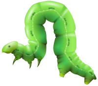 Caterpillar PNG