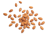 Almond PNG