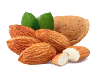 Almonds image PNG