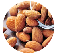 Almond PNG