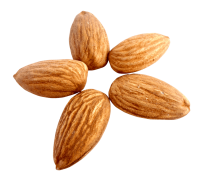 Almond PNG, Almonds PNG