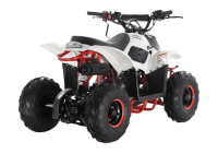 ATV, quad bike PNG