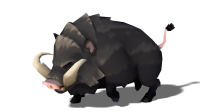 Boar PNG