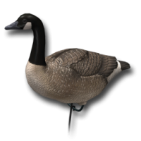 Goose PNG