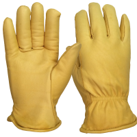 Gloves PNG