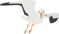 Gull PNG