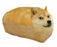 Doge  Доге PNG