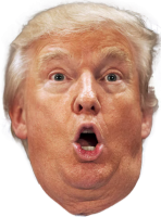 Donald Trump PNG