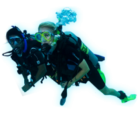 Diver PNG