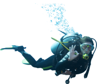 Diver PNG