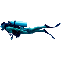 Diver PNG