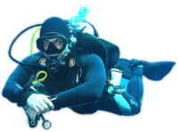 Diver PNG