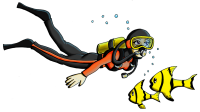 Diver PNG