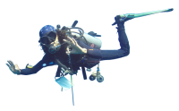 Diver PNG