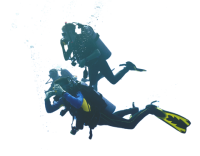 Diver PNG