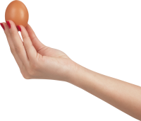 Eggs PNG