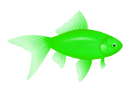 green fish PNG image