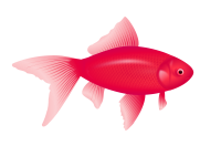 purple fish PNG image