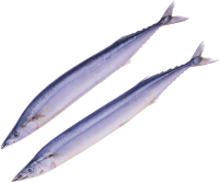 Fish PNG