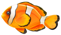 Fish PNG