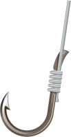 Fish hook PNG