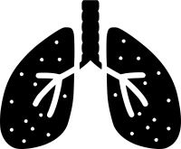 Lungs PNG