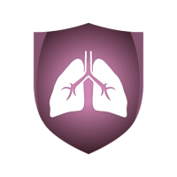 Lungs PNG