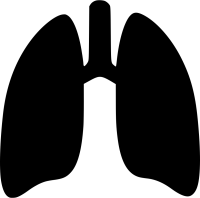 Lungs PNG