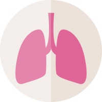 Lungs PNG