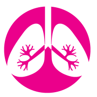 Lungs PNG