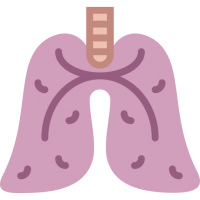 Lungs PNG