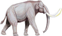 Mammoth PNG