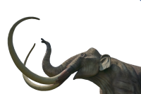 Mammoth PNG