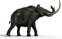 Mammoth PNG