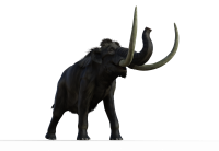 Mammoth PNG