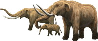 Mammoth PNG