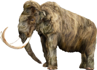 Mammoth PNG